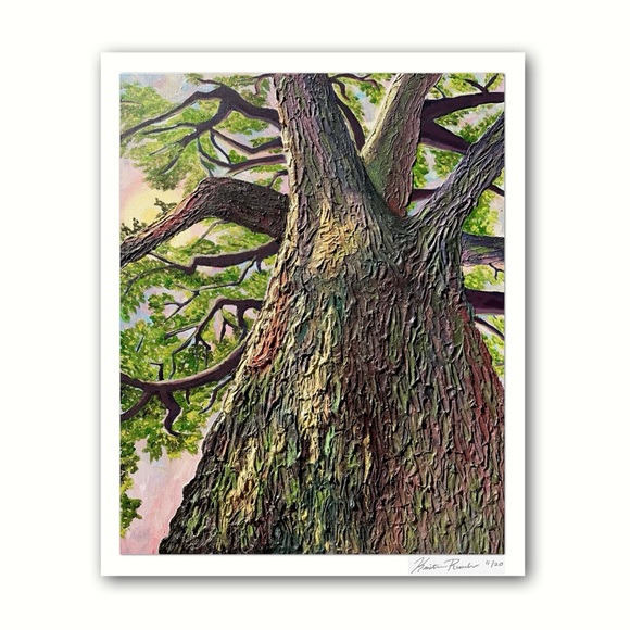 ‘Grounded’ Limited Edition Glicée Fine Art Print Unframed Signed Nature Tree - Picture 2 of 8